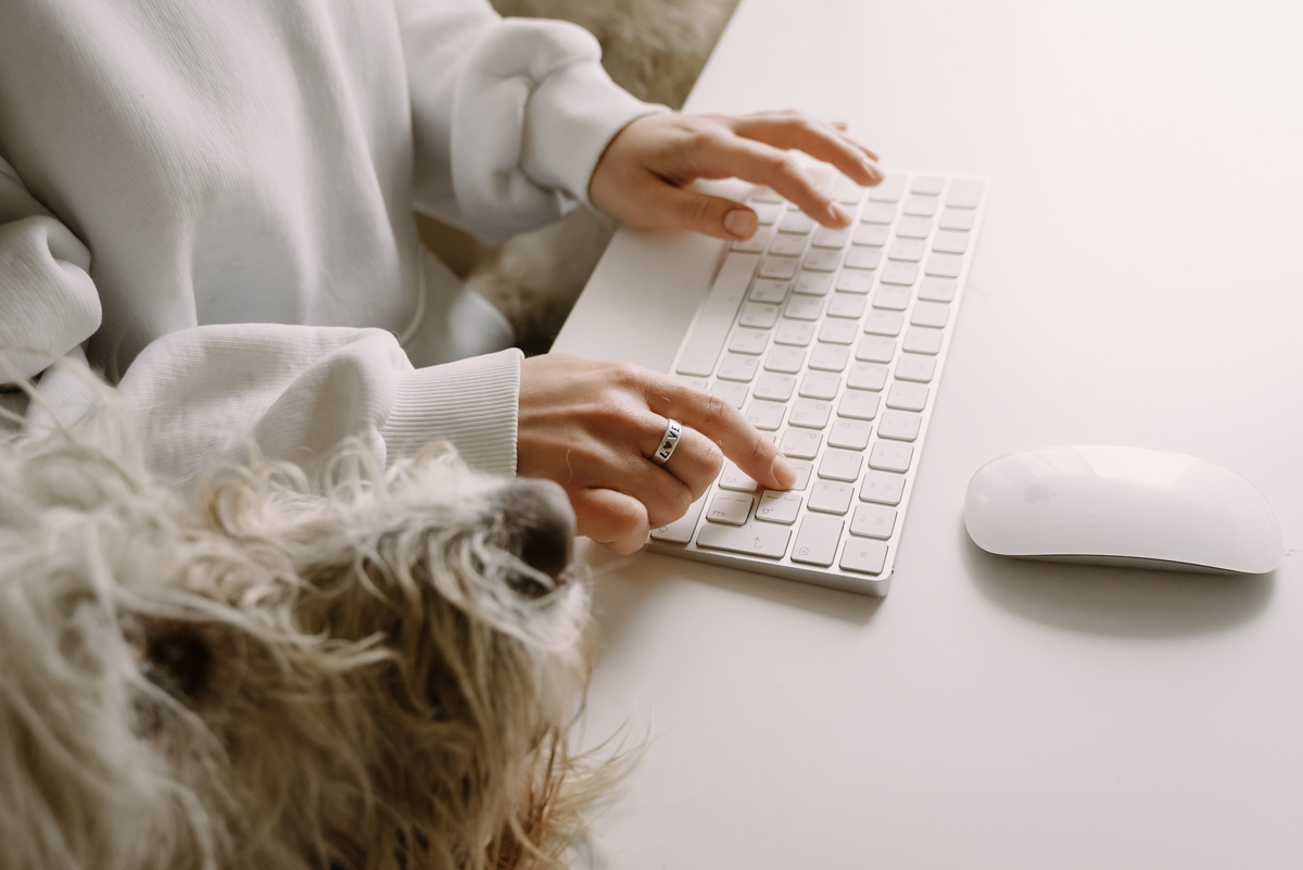 Person Using Keyboard Beside a Dog